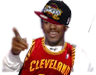 UMad Cavs